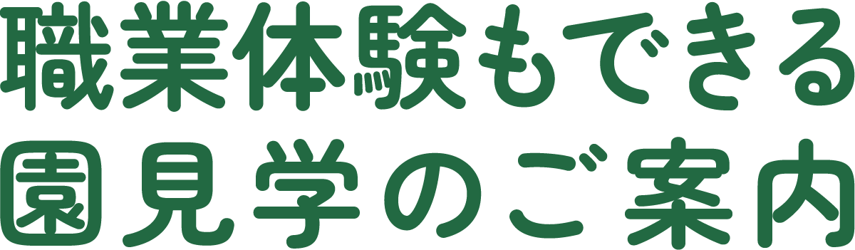 職業体験もできる 園見学のご案内